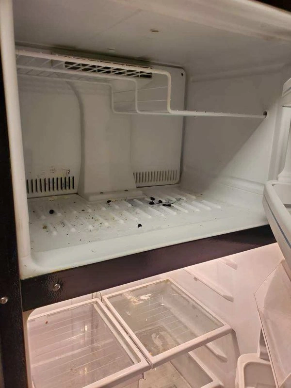 Professional House Cleaning